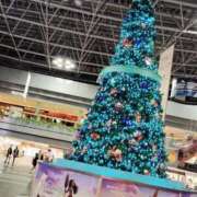 ヒメ日記 2024/12/23 11:06 投稿 すずか【新人割引期間中】 クリスタル