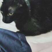 ヒメ日記 2024/12/27 23:26 投稿 すずか【新人割引期間中】 クリスタル