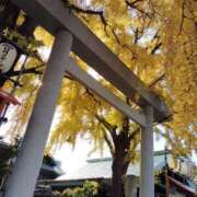 ヒメ日記 2024/12/29 22:26 投稿 すずか【新人割引期間中】 クリスタル