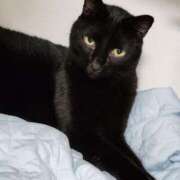 ヒメ日記 2024/12/30 15:36 投稿 すずか【新人割引期間中】 クリスタル