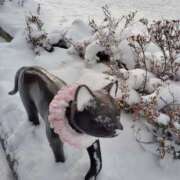 ヒメ日記 2025/01/16 14:06 投稿 すずか【新人割引期間中】 クリスタル