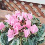 ヒメ日記 2025/01/23 08:16 投稿 すずか【新人割引期間中】 クリスタル