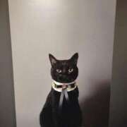 ヒメ日記 2025/02/16 07:16 投稿 すずか【新人割引期間中】 クリスタル