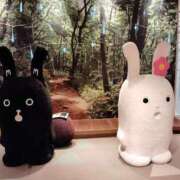 ヒメ日記 2025/02/26 20:26 投稿 すずか【新人割引期間中】 クリスタル