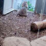 ヒメ日記 2025/02/27 16:57 投稿 すずか【新人割引期間中】 クリスタル