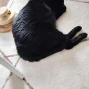 ヒメ日記 2025/03/26 19:46 投稿 すずか【新人割引期間中】 クリスタル