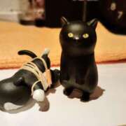 ヒメ日記 2025/04/13 16:51 投稿 すずか【新人割引期間中】 クリスタル