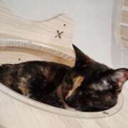 ヒメ日記 2025/04/19 22:56 投稿 すずか【新人割引期間中】 クリスタル