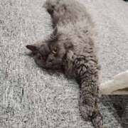 ヒメ日記 2025/05/01 23:06 投稿 すずか【新人割引期間中】 クリスタル