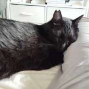 ヒメ日記 2025/05/03 15:46 投稿 すずか【新人割引期間中】 クリスタル