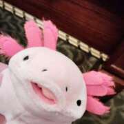 ヒメ日記 2025/05/07 22:38 投稿 すずか【新人割引期間中】 クリスタル