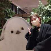 ヒメ日記 2025/05/08 13:16 投稿 すずか【新人割引期間中】 クリスタル