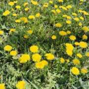 ヒメ日記 2025/05/12 15:56 投稿 すずか【新人割引期間中】 クリスタル