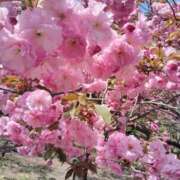 ヒメ日記 2025/05/16 05:36 投稿 すずか【新人割引期間中】 クリスタル