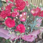 ヒメ日記 2025/06/08 12:36 投稿 すずか【新人割引期間中】 クリスタル