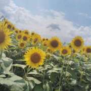 ヒメ日記 2025/06/19 06:36 投稿 すずか【新人割引期間中】 クリスタル