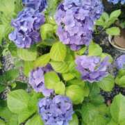 ヒメ日記 2025/06/20 23:46 投稿 すずか【新人割引期間中】 クリスタル