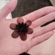 ヒメ日記 2025/08/01 18:11 投稿 すずか【新人割引期間中】 クリスタル