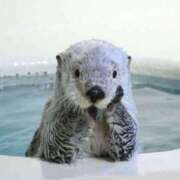 ヒメ日記 2025/08/04 16:56 投稿 すずか【新人割引期間中】 クリスタル