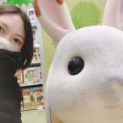 ヒメ日記 2025/08/17 06:06 投稿 すずか【新人割引期間中】 クリスタル