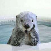 ヒメ日記 2025/08/27 07:06 投稿 すずか【新人割引期間中】 クリスタル