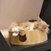 ヒメ日記 2025/08/29 04:46 投稿 すずか【新人割引期間中】 クリスタル