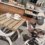 ヒメ日記 2025/08/29 16:56 投稿 すずか【新人割引期間中】 クリスタル