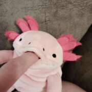 ヒメ日記 2025/08/30 19:26 投稿 すずか【新人割引期間中】 クリスタル