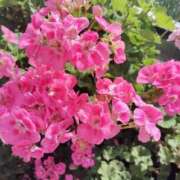 ヒメ日記 2025/08/30 22:06 投稿 すずか【新人割引期間中】 クリスタル