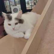 ヒメ日記 2025/09/01 16:56 投稿 すずか【新人割引期間中】 クリスタル