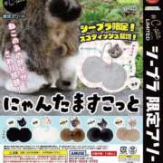 ヒメ日記 2025/09/04 20:00 投稿 すずか【新人割引期間中】 クリスタル
