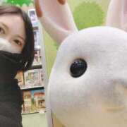 ヒメ日記 2025/10/10 06:46 投稿 すずか【新人割引期間中】 クリスタル