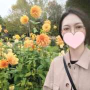 ヒメ日記 2025/10/20 01:56 投稿 すずか【新人割引期間中】 クリスタル