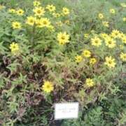 ヒメ日記 2025/10/22 09:26 投稿 すずか【新人割引期間中】 クリスタル