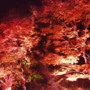 ヒメ日記 2025/10/29 13:06 投稿 すずか【新人割引期間中】 クリスタル