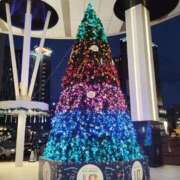 ヒメ日記 2025/11/14 10:36 投稿 すずか【新人割引期間中】 クリスタル