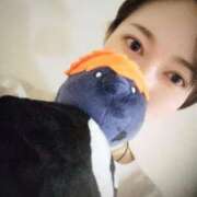 ヒメ日記 2025/11/27 20:06 投稿 すずか【新人割引期間中】 クリスタル