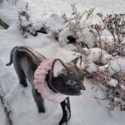 ヒメ日記 2025/11/29 21:46 投稿 すずか【新人割引期間中】 クリスタル