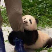 ヒメ日記 2025/12/25 14:56 投稿 すずか【新人割引期間中】 クリスタル