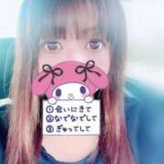 ヒメ日記 2025/04/19 10:08 投稿 ゆとり 群馬渋川水沢ちゃんこ