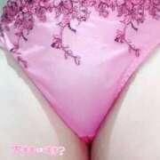 ヒメ日記 2025/11/03 13:48 投稿 ゆとり 群馬渋川水沢ちゃんこ