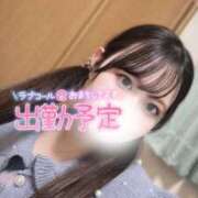 ヒメ日記 2024/12/13 14:16 投稿 れむ 山梨甲府甲斐ちゃんこ