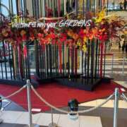 ヒメ日記 2024/12/31 13:05 投稿 ひびく 熟女家 ミナミエリア店