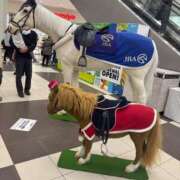 ヒメ日記 2025/03/03 11:35 投稿 ひびく 熟女家 ミナミエリア店