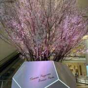 ヒメ日記 2025/03/04 17:45 投稿 ひびく 熟女家 ミナミエリア店