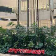 ヒメ日記 2025/03/05 08:45 投稿 ひびく 熟女家 ミナミエリア店