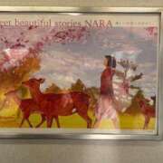 ヒメ日記 2025/03/08 10:37 投稿 ひびく 熟女家 ミナミエリア店