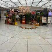 ヒメ日記 2025/03/26 15:55 投稿 ひびく 熟女家 ミナミエリア店