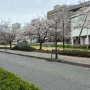 ヒメ日記 2025/04/02 14:29 投稿 ひびく 熟女家 ミナミエリア店