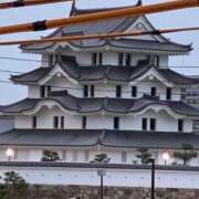 ヒメ日記 2025/04/06 15:05 投稿 ひびく 熟女家 ミナミエリア店